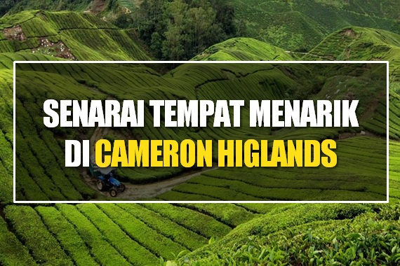 Senarai Tempat Menarik Cameron Highlands 